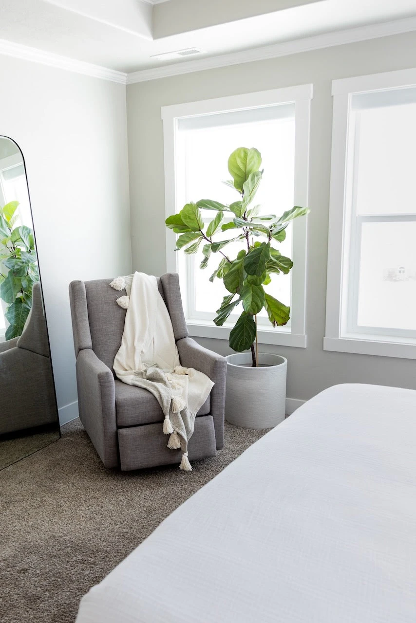 Magnolia Home Clark Fringe Throw - Image 3