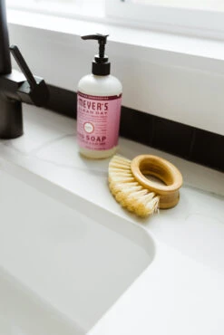 Sunny Day Rounded Brush