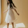 SALT Rosalind Embroidered Tulle Dress
