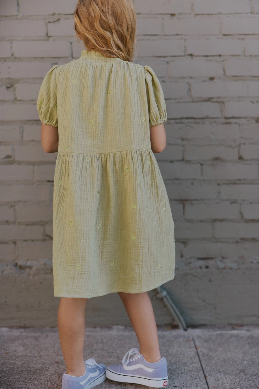 Mini Pasquale Embroidered Dress - Image 16