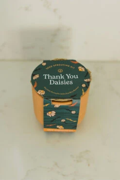 Tiny Terracotta Thank You Daisies Kit