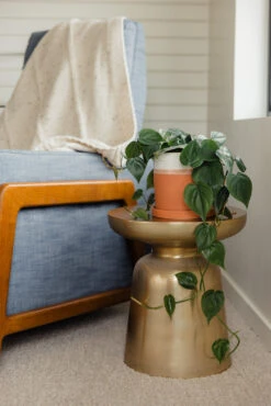 The Goody Addams Pot