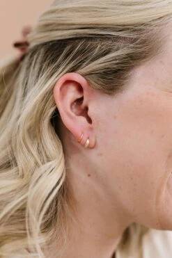 Gold Double Hoop Dupes